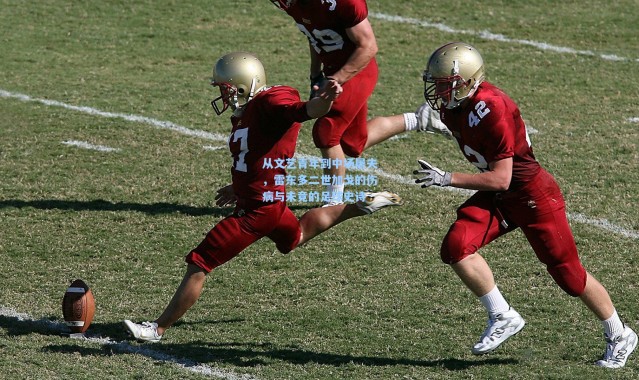 从文艺青年到中场屠夫，雷东多二世加戈的伤病与未竟的足球史诗