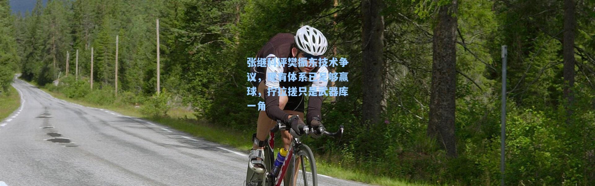 张继科评樊振东技术争议，现有体系已足够赢球，拧拉搓只是武器库一角