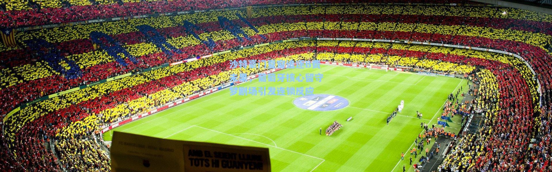 沙特豪门夏窗追逐B费未果，葡萄牙核心留守梦剧场引发连锁反应