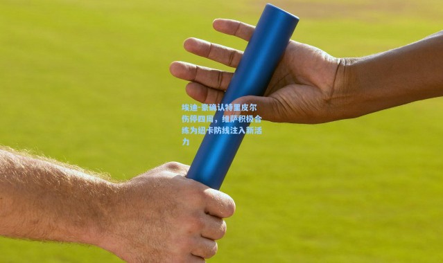 埃迪-豪确认特里皮尔伤停四周，维萨积极合练为纽卡防线注入新活力