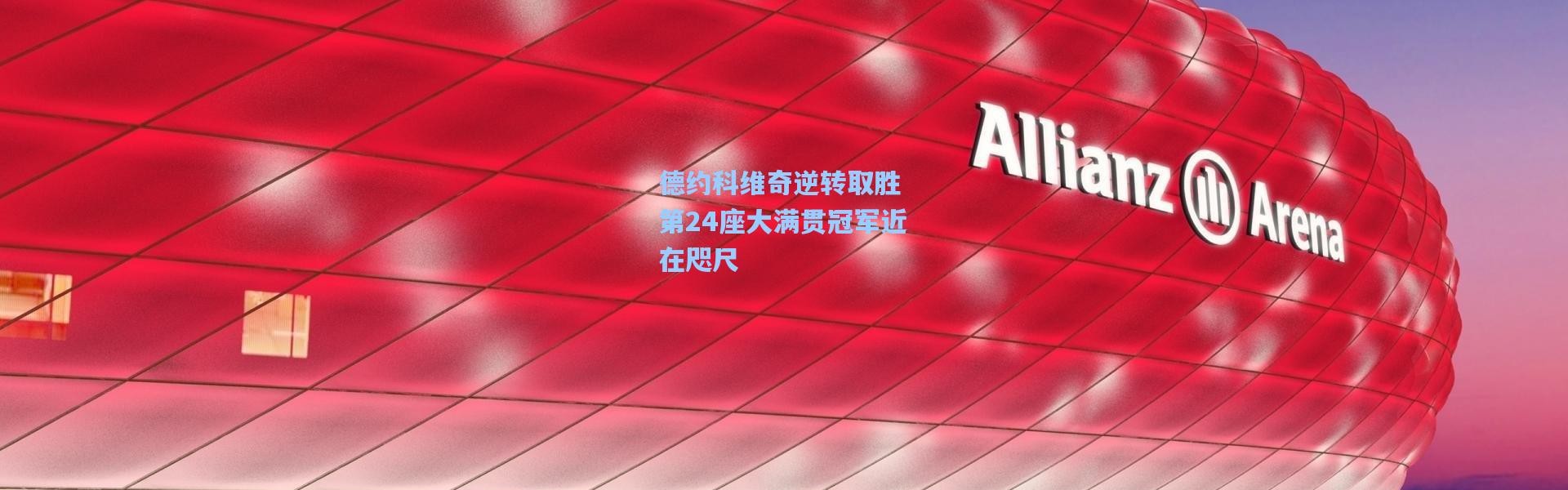 德约科维奇逆转取胜 第24座大满贯冠军近在咫尺