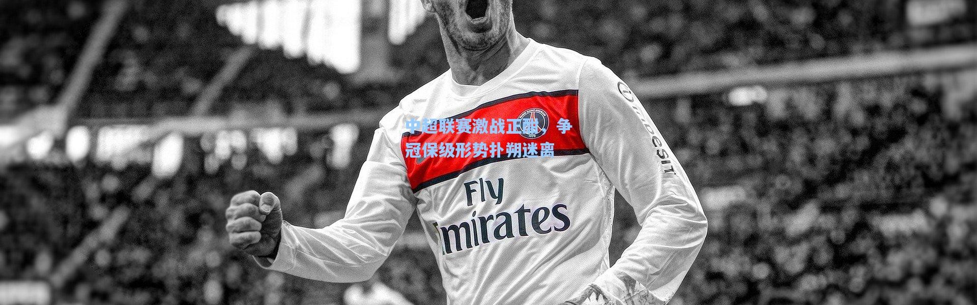 中超联赛激战正酣，争冠保级形势扑朔迷离