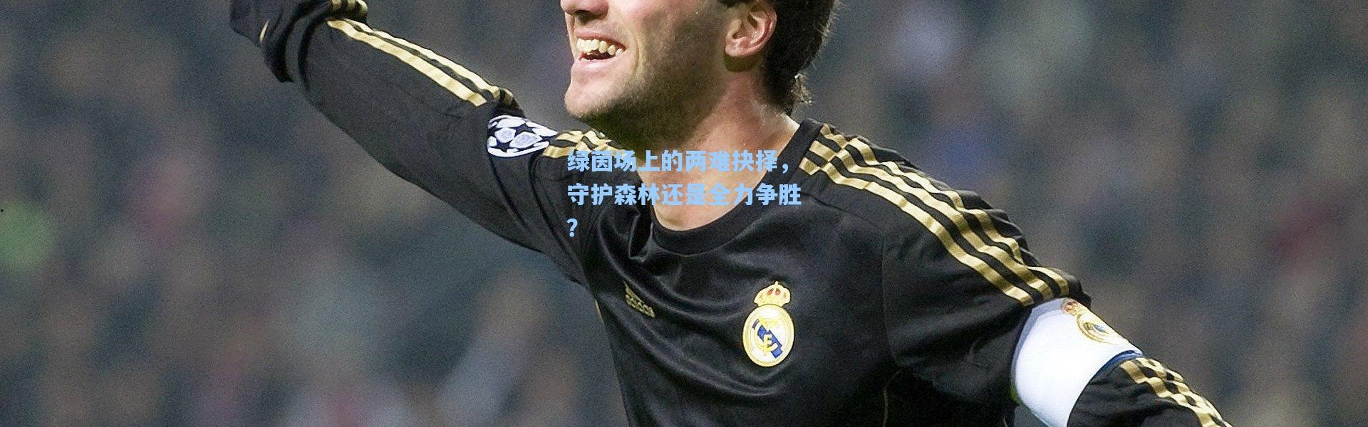 绿茵场上的两难抉择，守护森林还是全力争胜？