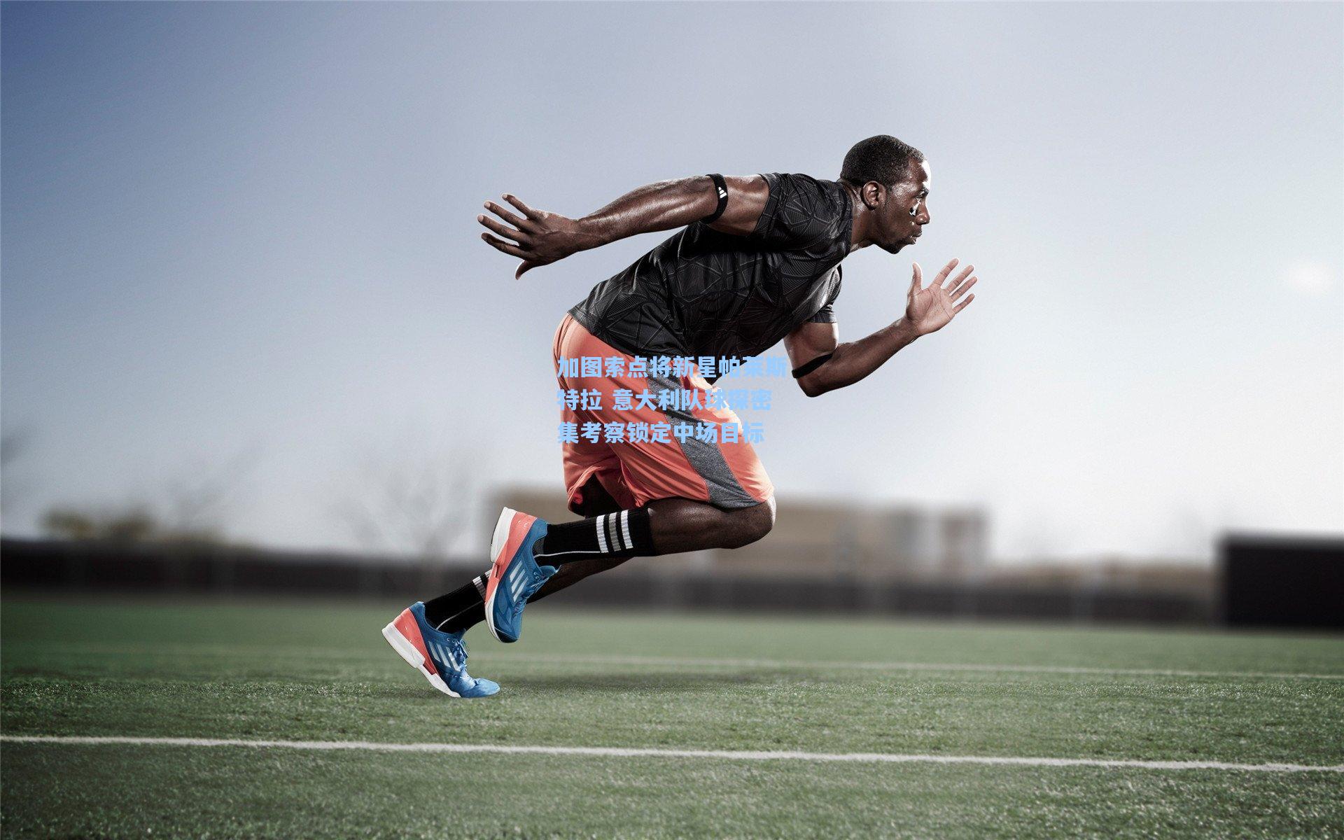 加图索点将新星帕莱斯特拉 意大利队球探密集考察锁定中场目标