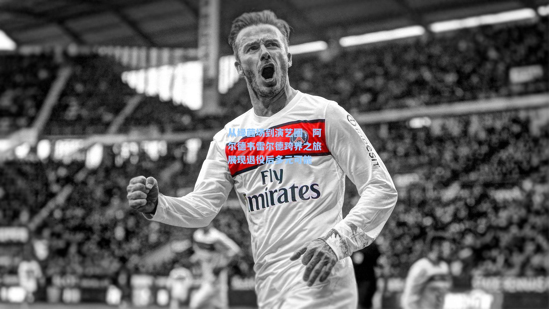 从绿茵场到演艺圈，阿尔德韦雷尔德跨界之旅展现退役后多元可能