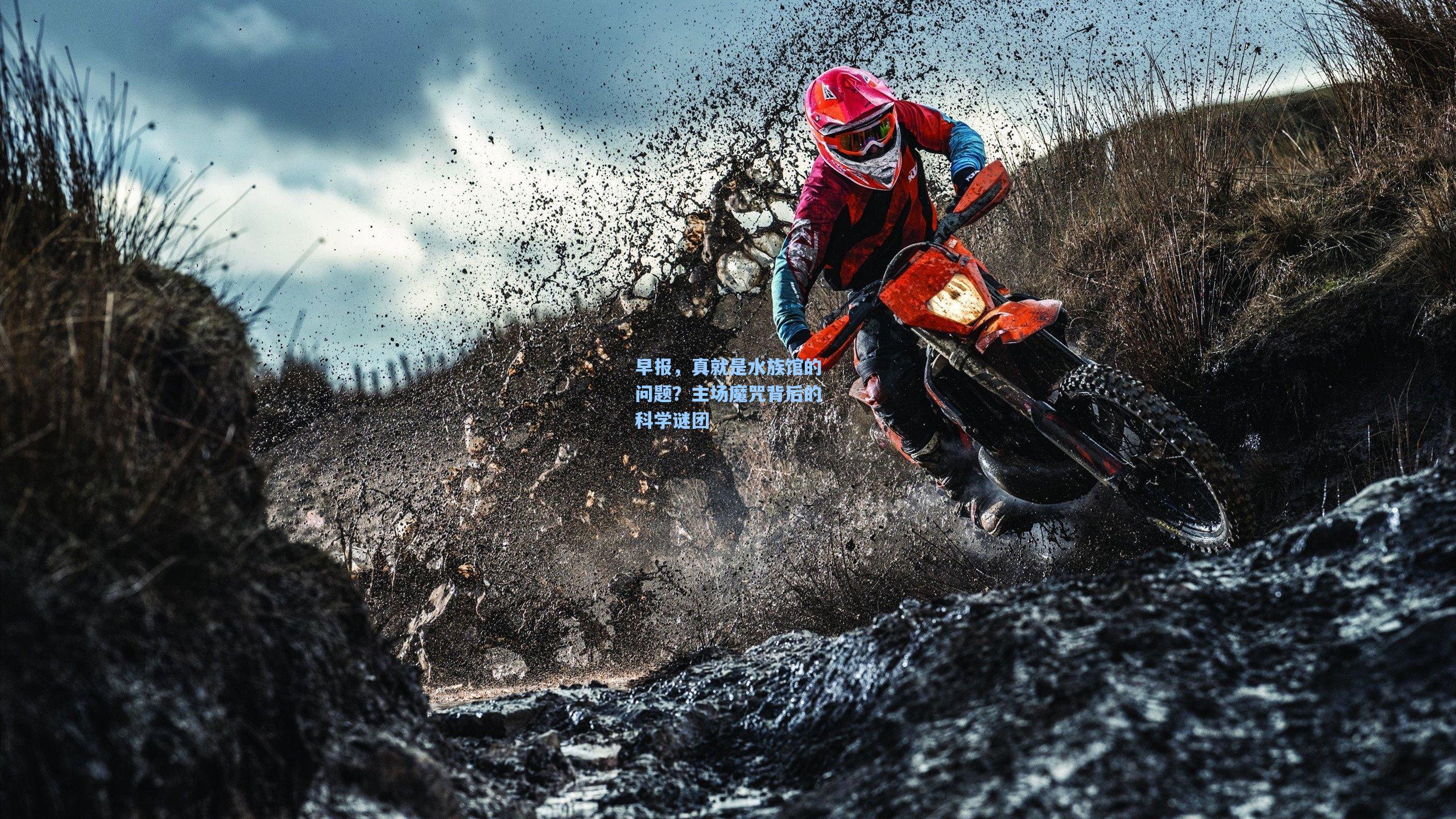 早报，真就是水族馆的问题？主场魔咒背后的科学谜团